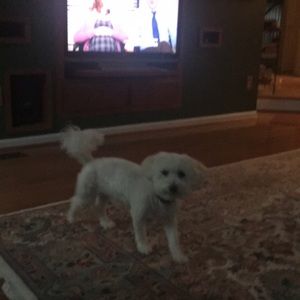 Meet your Posher, Michelle